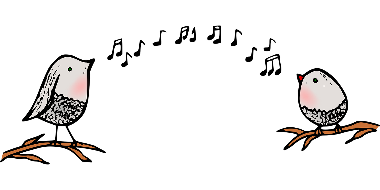 Kurssikuva